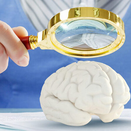 934eded8-79be-4207-a6dd-0fb257bd5bca