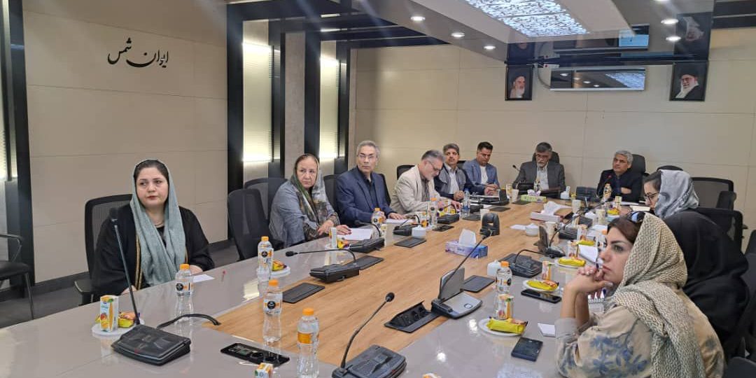 iranalz.ir_آلزایمر نشست انجمن دمانس و آلزایمر ایران در شبکه ملی پیشگیری از بیماریهای غیرواگیر با اداره سلامت شهرداری تهران