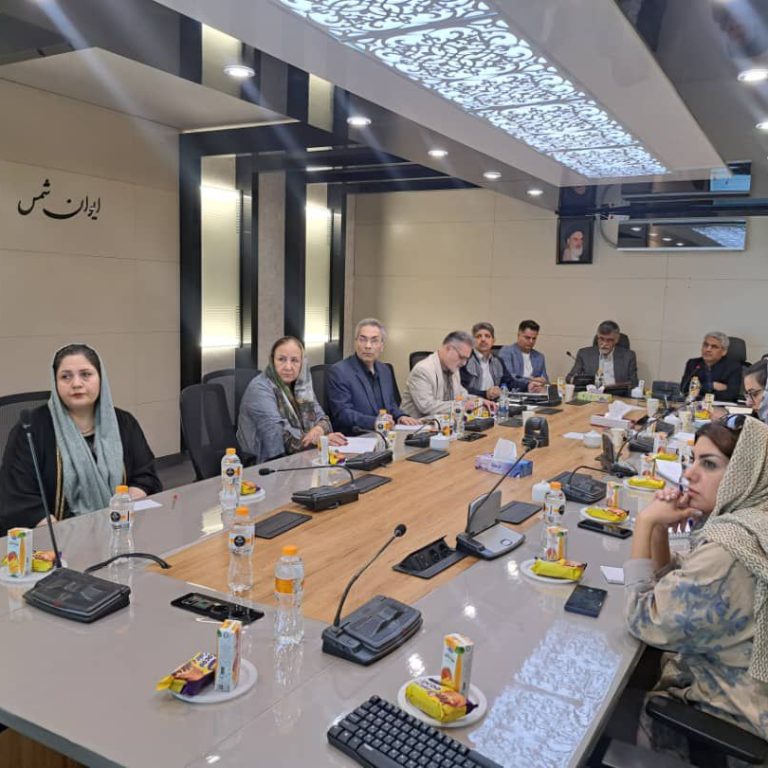 iranalz.ir_آلزایمر نشست انجمن دمانس و آلزایمر ایران در شبکه ملی پیشگیری از بیماریهای غیرواگیر با اداره سلامت شهرداری تهران