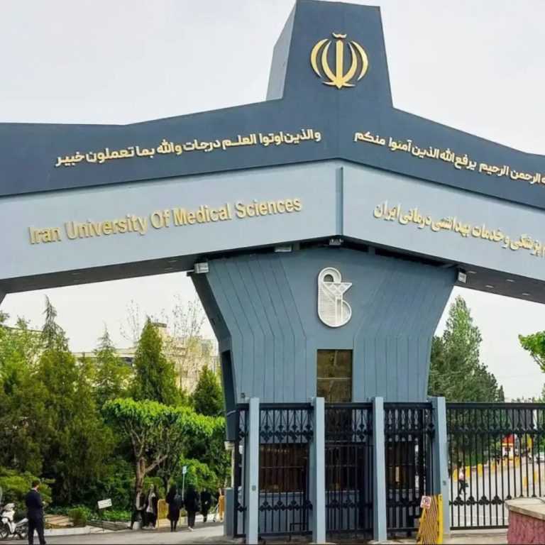 وبینار «آموزش مداوم سالمندی سالم با رویکرد دمانس» در دانشگاه علوم پزشکی ایران